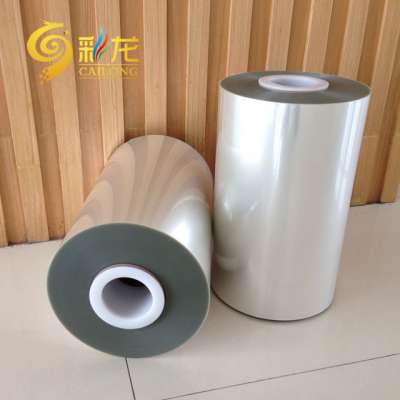 12u Rotortable metallic silver PET polyester with Chemical Coated Films for meat packing